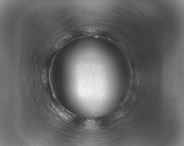 X0000077410562200610201504