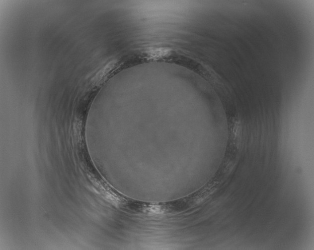 X0000077410565200610201504
