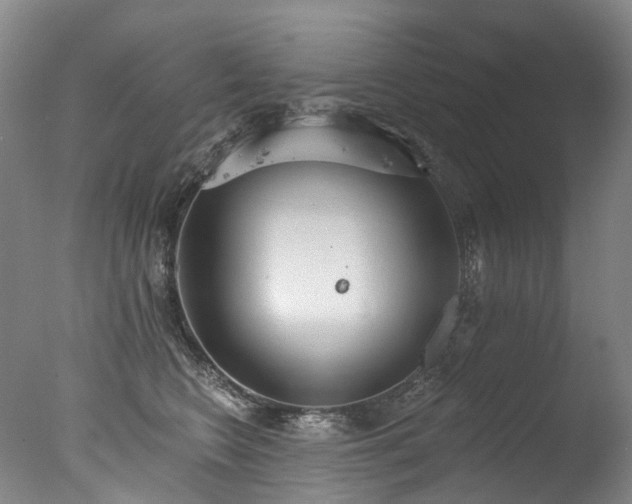 X0000077410566200610201504