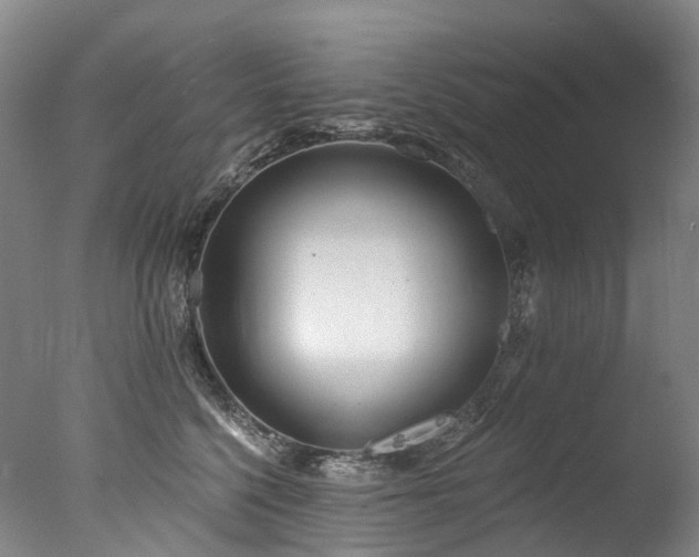 X0000077410568200610201504