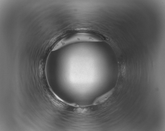 X0000077410570200610201504