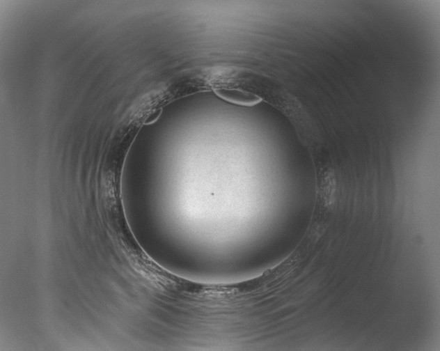 X0000077410571200610201504