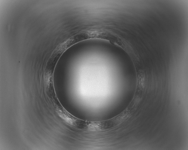 X0000077410574200610201504