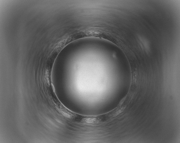 X0000077410575200610201504