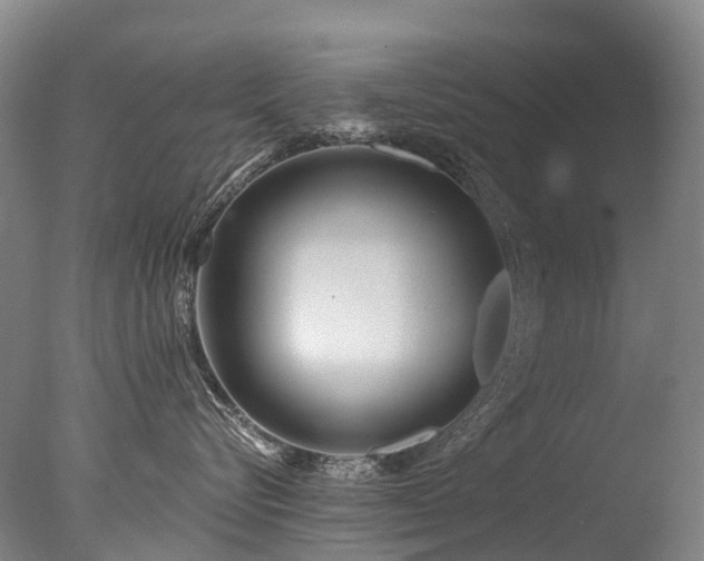 X0000077410576200610201504