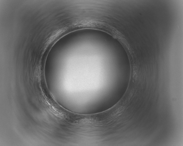 X0000077410578200610201503
