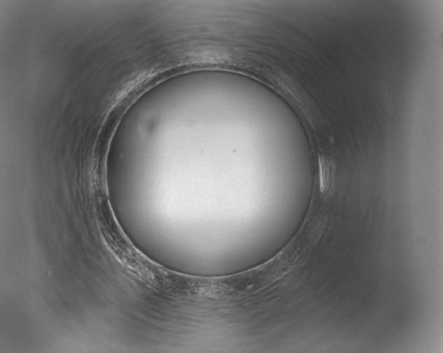 X0000077410579200610201503