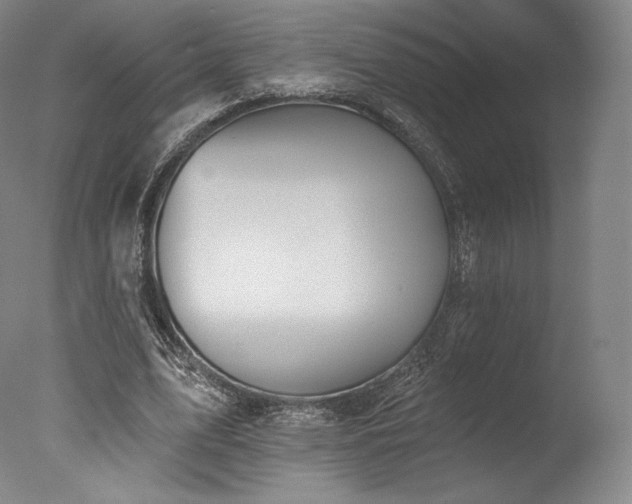 X0000077410583200610201503