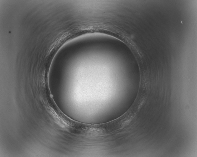 X0000077410585200610201503