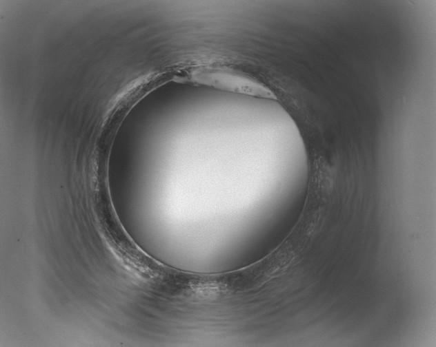 X0000077410587200610201503
