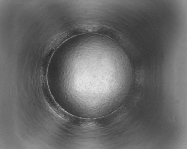 X0000077410594200610201503