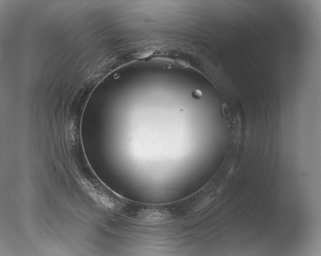 X0000077410597200610201503