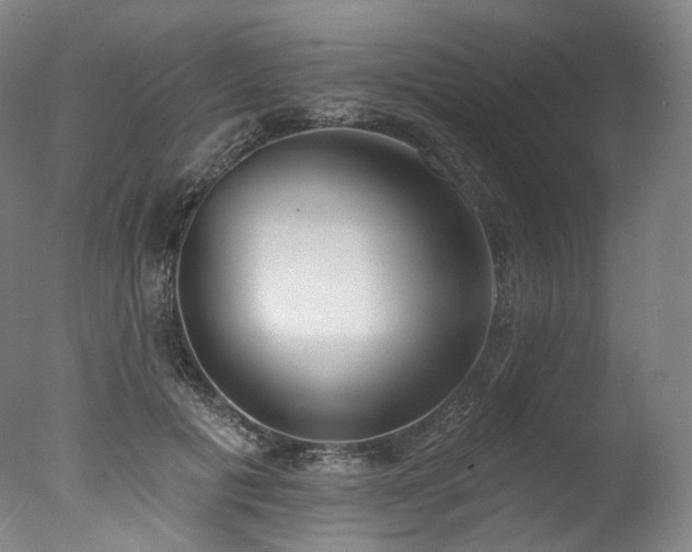 X0000077410601200610201503