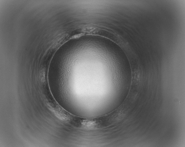 X0000077410602200610201503