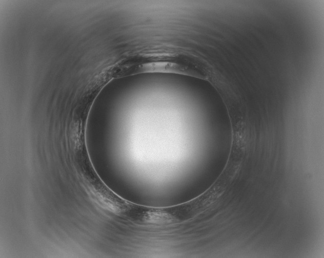 X0000077410605200610201503