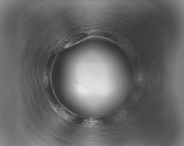X0000077410607200610201503