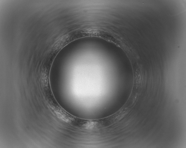 X0000077410609200610201503