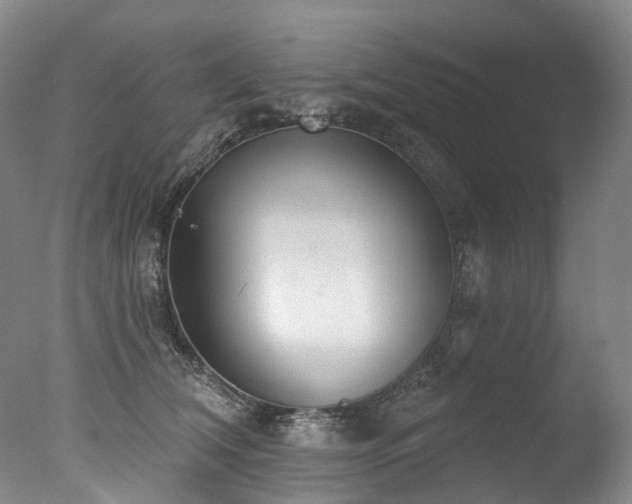 X0000077410612200610201502