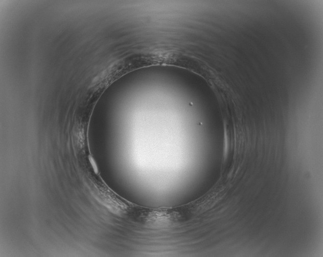 X0000077410613200610201502