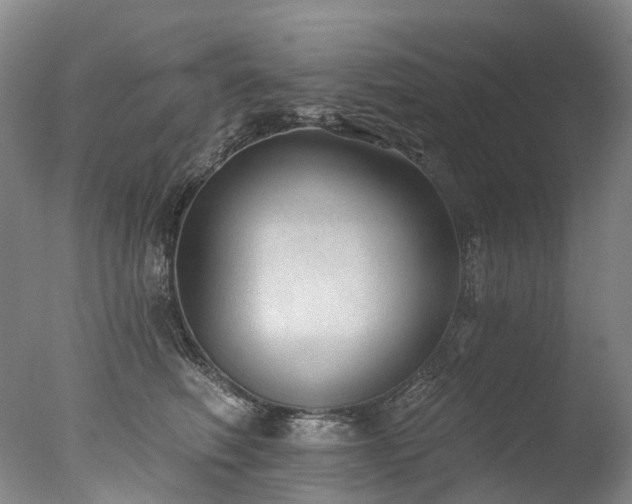 X0000077410614200610201502