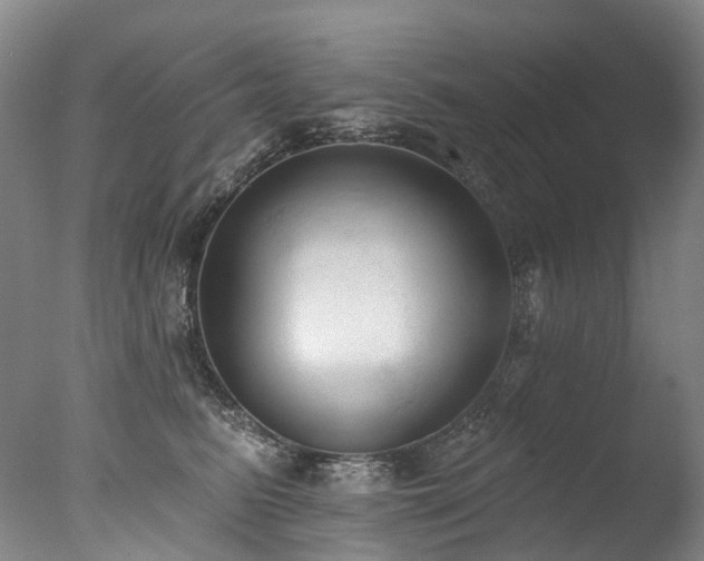 X0000077410615200610201502