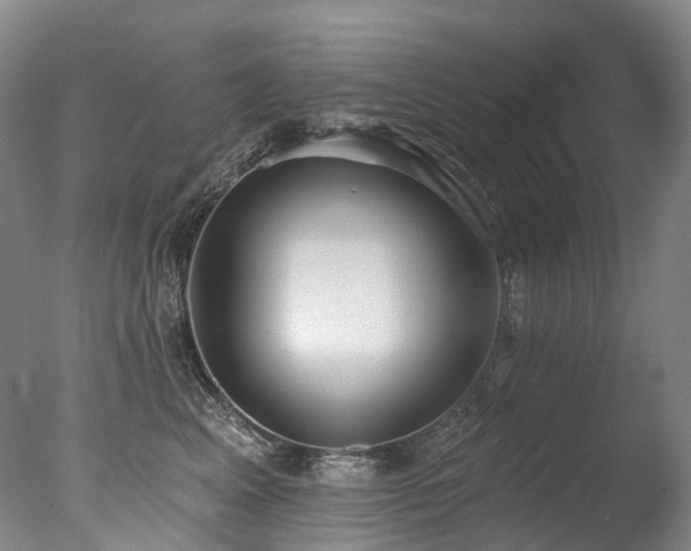 X0000077410617200610201502