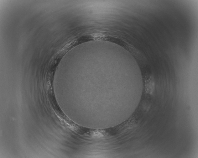 X0000077410618200610201502