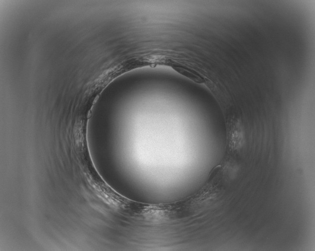 X0000077410620200610201502