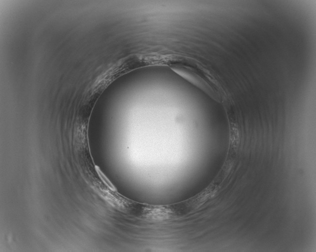 X0000077410621200610201502