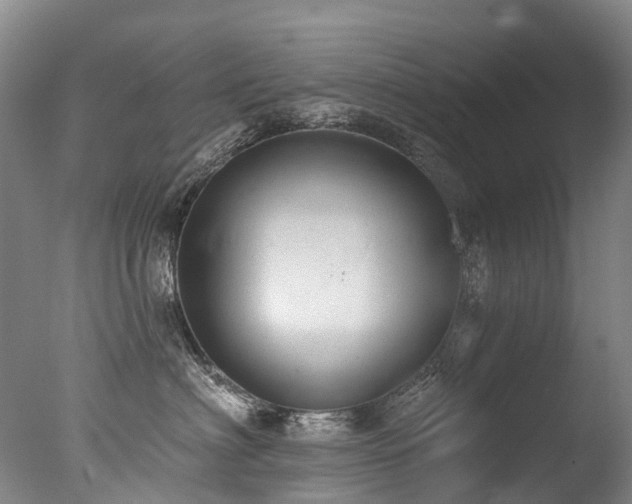 X0000077410622200610201502