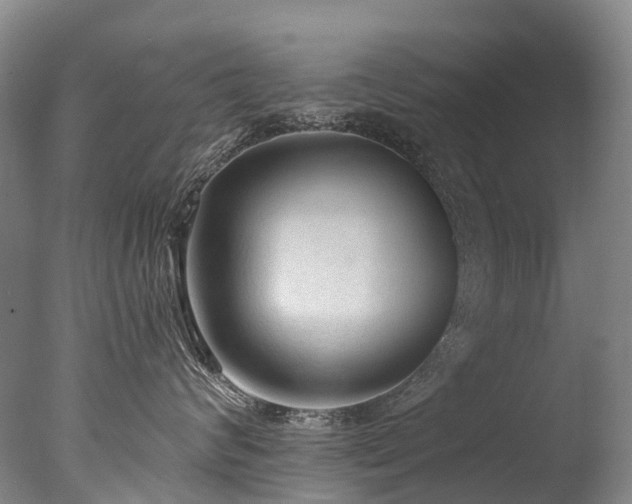 X0000077410624200610201502