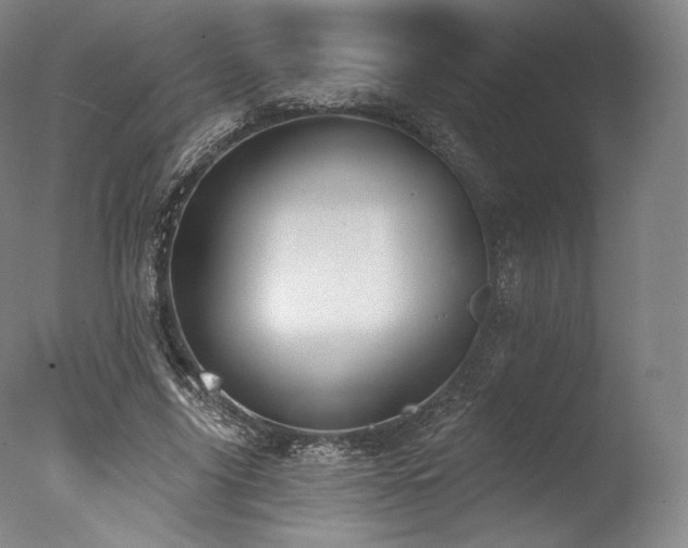 X0000077410635200610201502