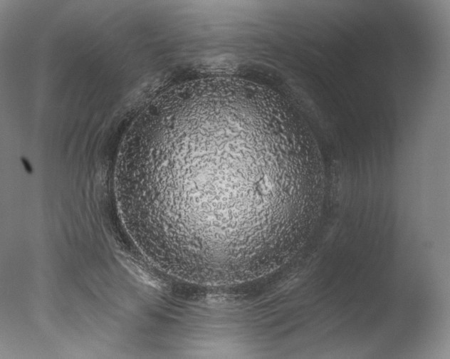 X0000077410641200610201502