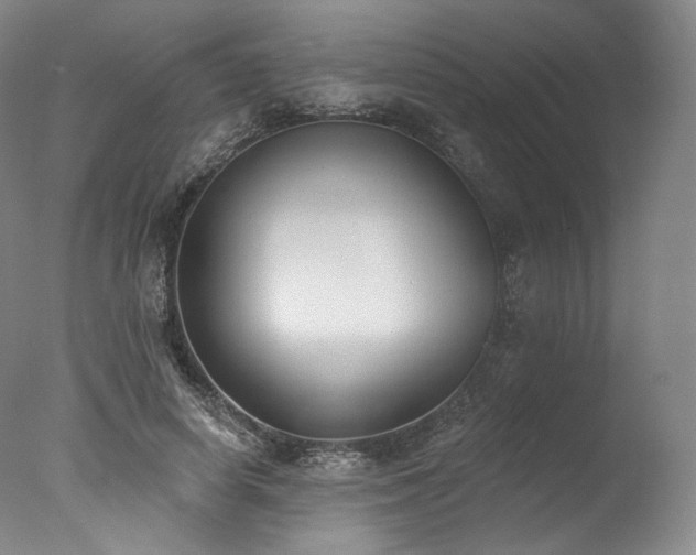 X0000077410642200610201502