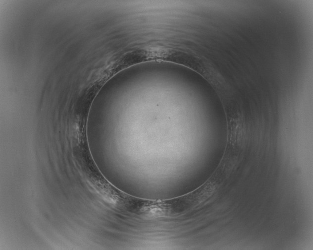 X0000077410655200610201502