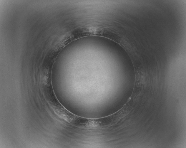 X0000077410656200610201502