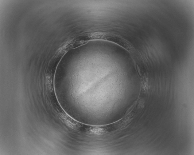 X0000077410669200610201502