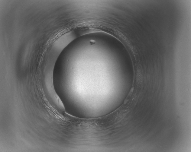 X0000077410673200610201501