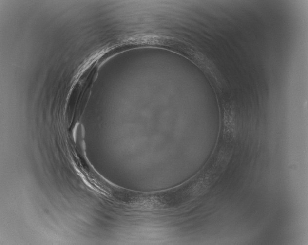 X0000077410674200610201501