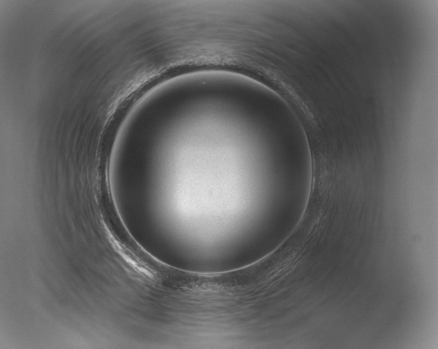 X0000077410677200610201501