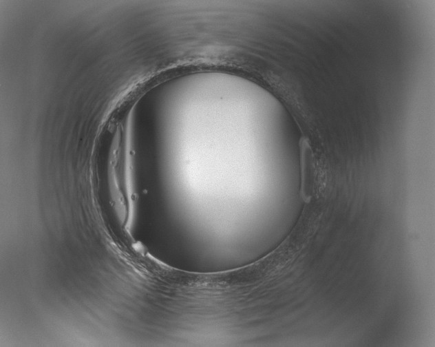 X0000077410680200610201501