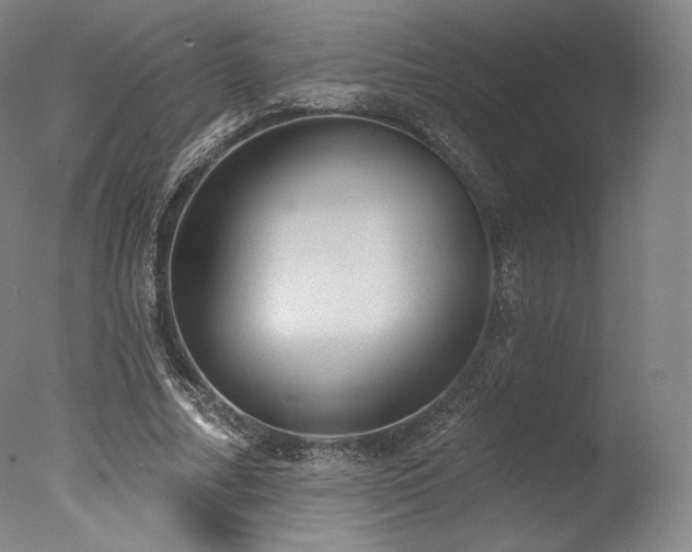 X0000077410682200610201501