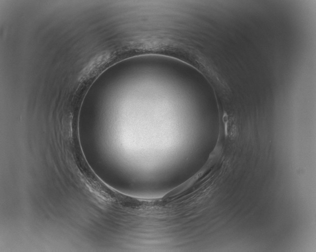 X0000077410685200610201501