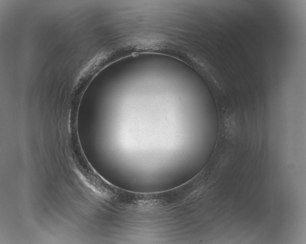 X0000077410686200610201501