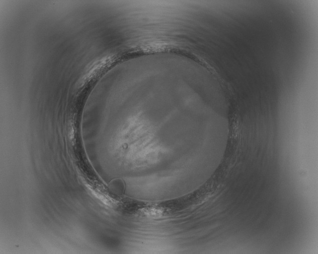 X0000077410687200610201501