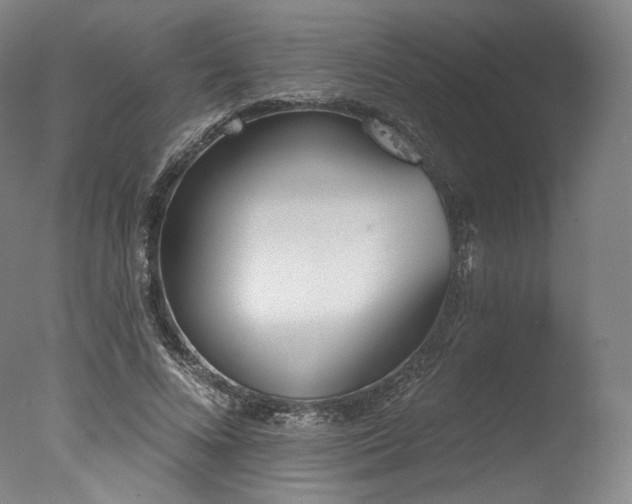 X0000077410688200610201501