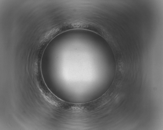 X0000077410690200610201501