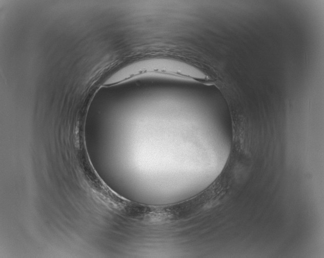 X0000077410696200610201501