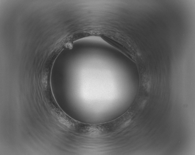 X0000077410697200610201501