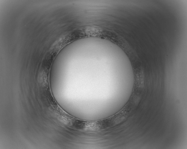 X0000077410705200610201501